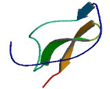 WAP Four Disulfide Core Domain Protein 9 (WFDC9)