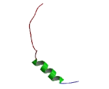 WAS/WASL Interacting Protein Family, Member 2 (WIPF2)