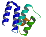 WD And Tetratricopeptide Repeats Protein 1 (WDTC1)