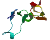 WD Repeat And FYVE Domain Containing Protein 1 (WDFY1)