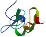 WD Repeat And FYVE Domain Containing Protein 2 (WDFY2)