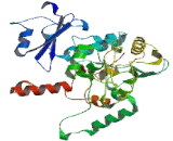 WD Repeat And FYVE Domain Containing Protein 3 (WDFY3)