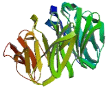 WD Repeat And SOCS Box Containing Protein 1 (WSB1)