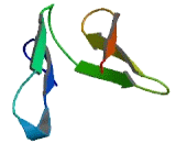 WD Repeat Containing Domain Protein 16 (WDR16)