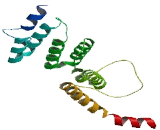 WD Repeat Containing Domain Protein 19 (WDR19)