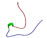 WD Repeat Containing Domain Protein 26 (WDR26)