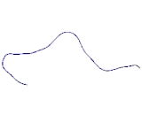 WD Repeat Containing Domain Protein 33 (WDR33)