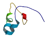 WD Repeat Containing Domain Protein 45 (WDR45)