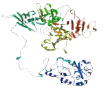 WD Repeat Containing Domain Protein 47 (WDR47)