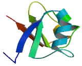 WD Repeat Containing Domain Protein 49 (WDR49)