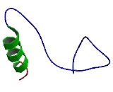 WD Repeat Containing Domain Protein 55 (WDR55)