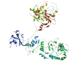 WD Repeat Containing Domain Protein 59 (WDR59)