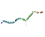 WD Repeat Containing Domain Protein 67 (WDR67)