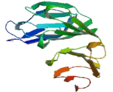 WD Repeat Containing Domain Protein 69 (WDR69)