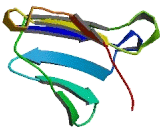 WD Repeat Containing Domain Protein 7 (WDR7)