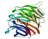 WD Repeat Containing Domain Protein 76 (WDR76)