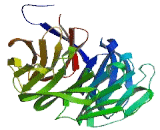 WD Repeat Containing Domain Protein 83 (WDR83)