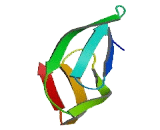 Diphthamide Biosynthesis Protein 7 (DPH7)