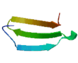 WD Repeat Containing Domain Protein 91 (WDR91)