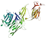 WD Repeat Containing Domain Protein 93 (WDR93)