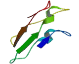 WD Repeat Domain Phosphoinositide Interacting Protein 2 (WIPI2)