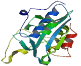 WDYHV Motif Containing Protein 1 (WDYHV1)