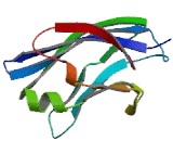 WW And C2 Domain Containing Protein 3 (WWC3)