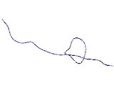 WW Domain Binding Protein 2 (WBP2)