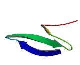 WW Domain Containing Adaptor With Coiled Coil Protein (WAC)