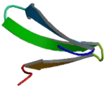 WW Domain Containing E3 Ubiquitin Protein Ligase 2 (WWP2)