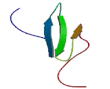 WW Domain Containing Oxidoreductase (WWOX)