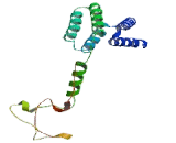 Werner Helicase Interacting Protein 1 (WRNIP1)