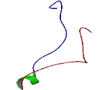 Williams Beuren Syndrome Chromosome Region 28 (WBSCR28)