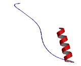 Wolf Hirschhorn Syndrome Candidate 2 (WHSC2)