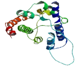 X-Kell Blood Group Precursor Related Family, Member 6 (XKR6)