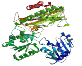 X-Prolyl Aminopeptidase 1, Soluble (XPNPEP1)