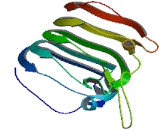 X-Ray Radiation Resistance Associated Protein 1 (XRRA1)