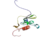 X-Transporter protein 3 (Xtrp3)