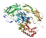 XLMR Related Protein, Neurite Extension (XPN)