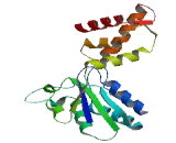 Presenilin Associated Metalloprotease (PAMP)