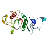 YTH Domain Containing Protein 2 (YTHDC2)