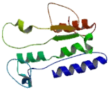 Yip1 Domain Family, Member 7 (YIPF7)