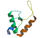 Yip1 Interacting Factor Homolog A (YIF1A)