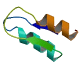 Yip1 Interacting Factor Homolog B (YIF1B)