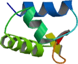 Z-DNA Binding Protein 1 (ZBP1)