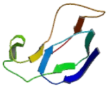 ZRT And IRT Related Protein 1 (ZIP1)