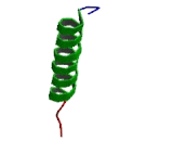 Zinc Activated Ligand Gated Ion Channel (ZACN)