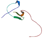 Zinc Finger, AN1-Type Domain Protein 1 (ZFAND1)