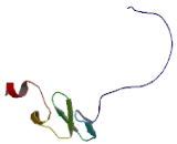 Zinc Finger, AN1-Type Domain Protein 5 (ZFAND5)