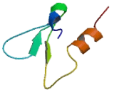 Zinc Finger, BED-Type Containing Protein 4 (ZBED4)